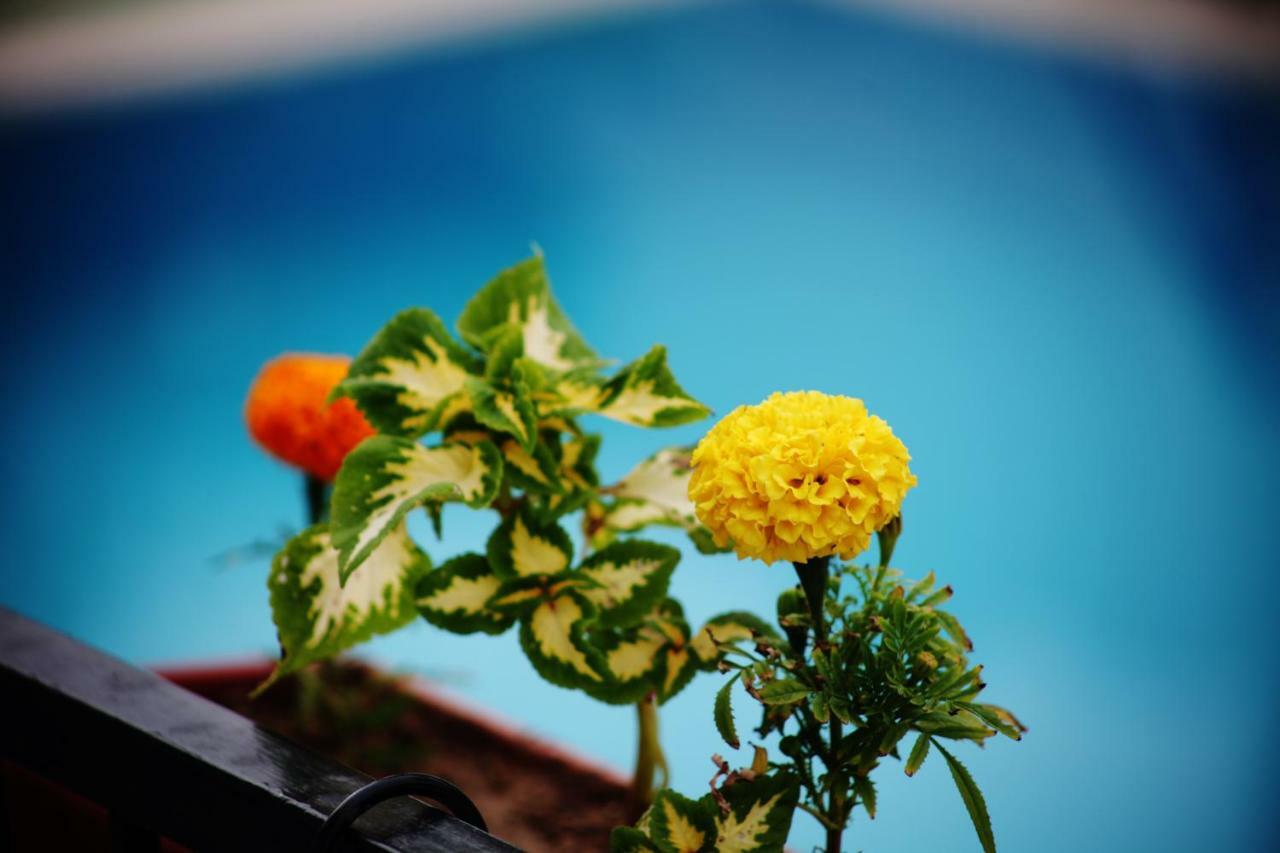 Can Otel Bodrum 외부 사진